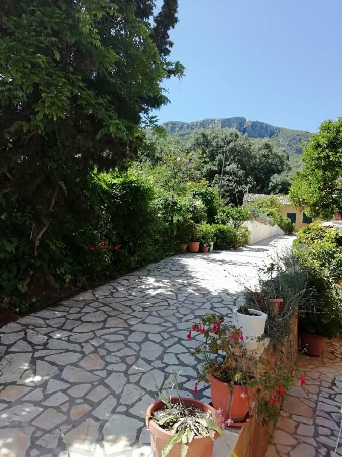 Marilena Studios And Apartments Paleokasztríca Kültér fotó